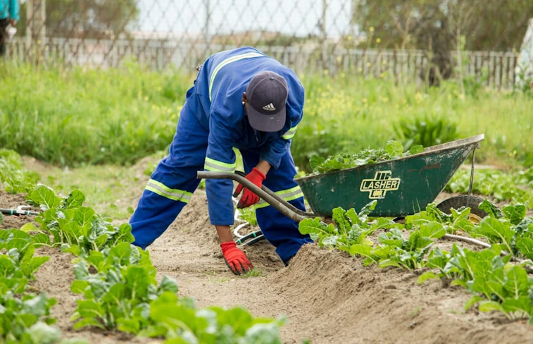 Environment & Sustainability